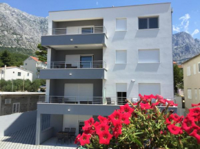 Apartments with a parking space Baska Voda, Makarska - 15214